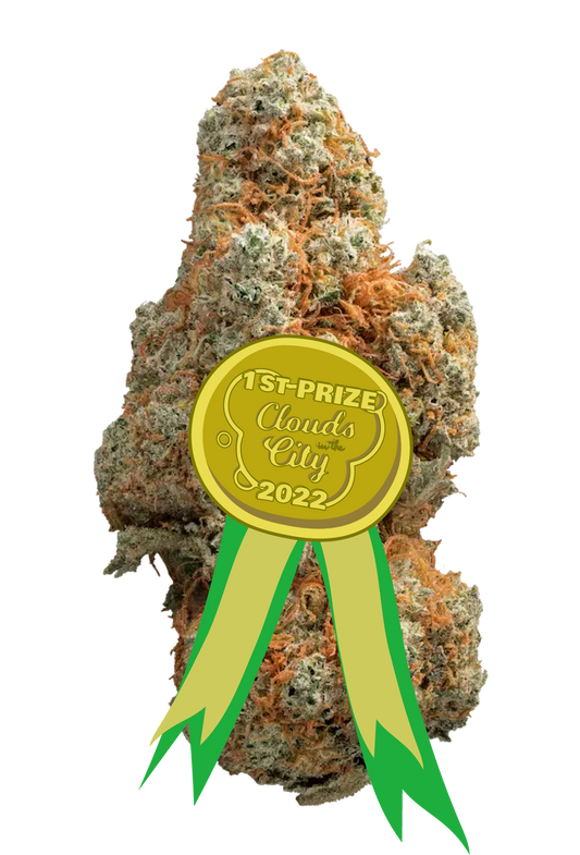 Gorilla Glue zitronig, holzig, intensiv