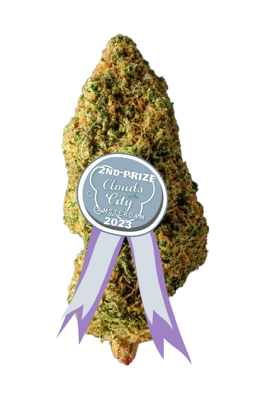 Bubba Kush erdig, waldig, markant (BESTSELLER)