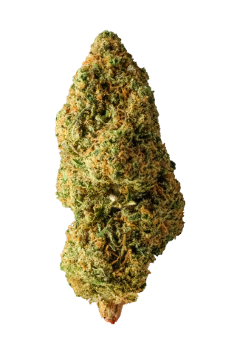 H4CBD Blueberry Kush (NEU)