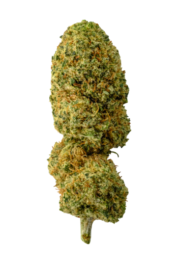 Alien Cookies zitronig, frisch, skunky