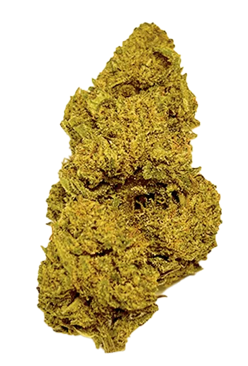 California Sunset fruchtig, skunky, intensiv