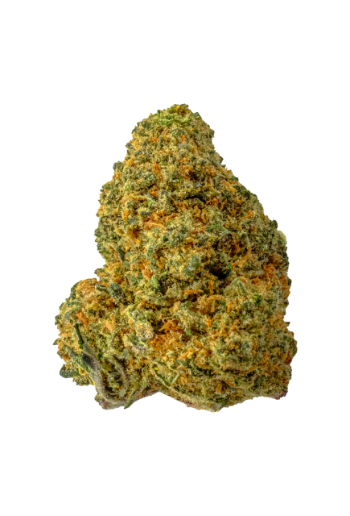 Gelato 3.0 süß, fruchtig, cremig