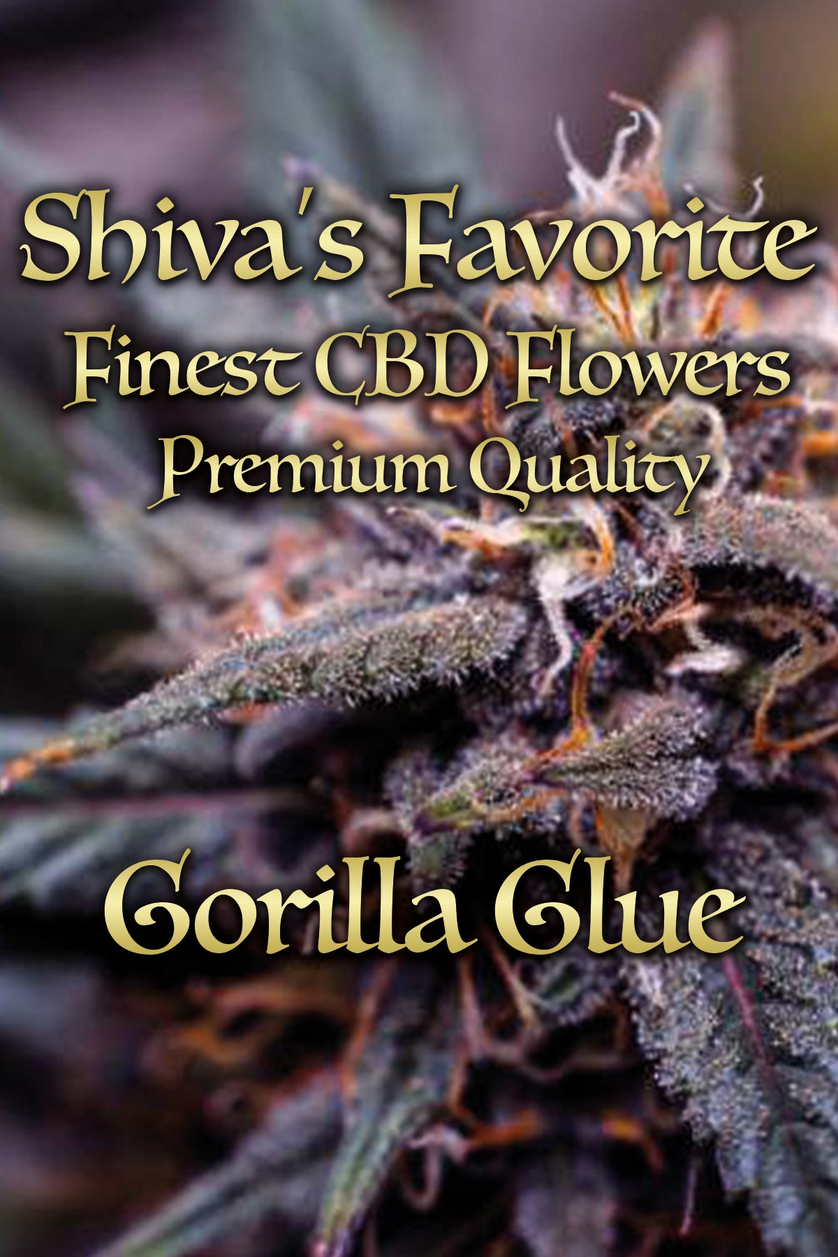 Gorilla Glue zitronig, holzig, intensiv