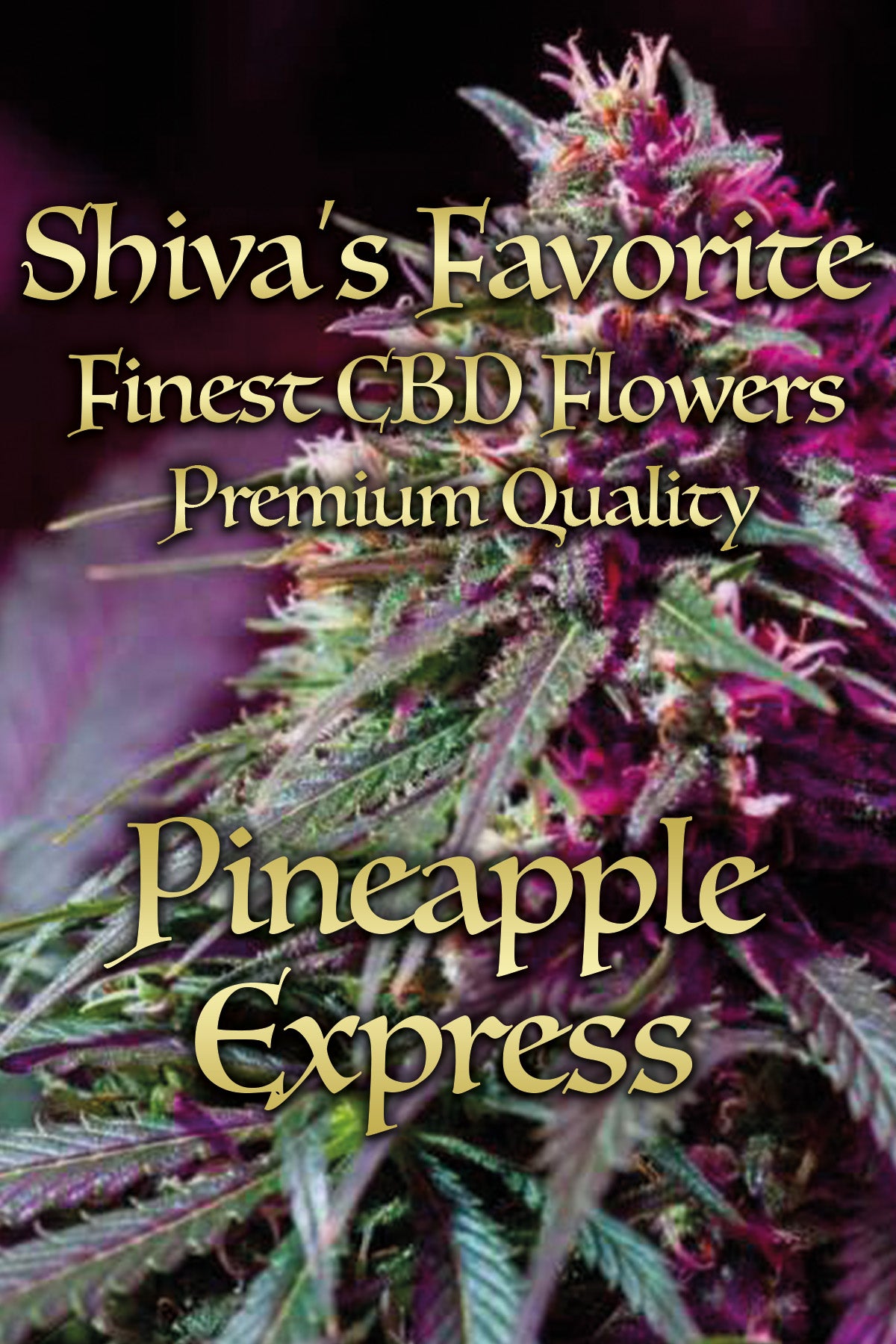 Pineapple Express fruchtig, tropisch, süß (BESTSELLER)