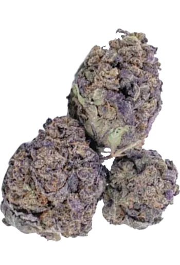 Purple Haze süß, beerig, erdig