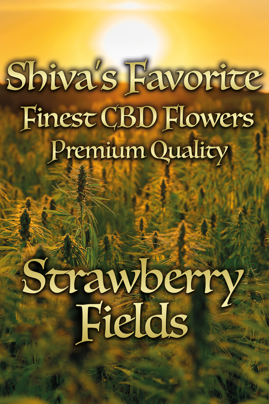Strawberry Fields fruchtig, süß, aromatisch