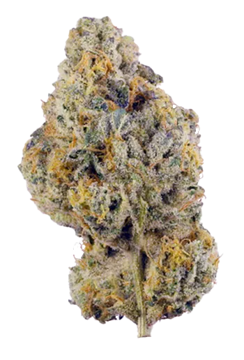 Wedding Cake süß, würzig, cremig