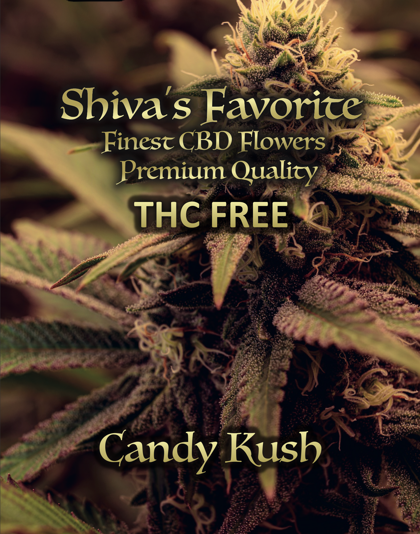 Candy Kush THC frei (NEU)