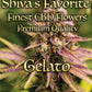 Gelato 3.0 süß, fruchtig, cremig